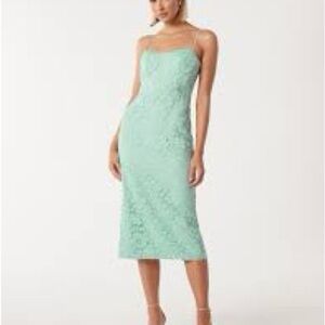 NWT Ever New Gracie Lace Corset Bodycon Dress Sz 2